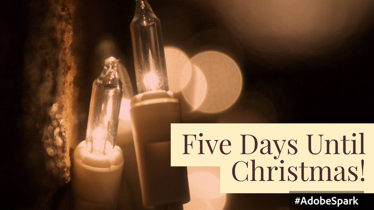 ccard3dev's tweet image. 