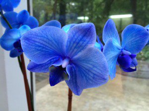 2 ways #entrepreneurs can build your #brand on #LinkedIn even if you don't need a  #job: ow.ly/NlVQ307dmEw