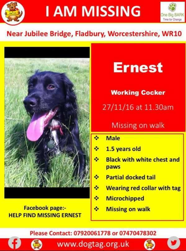 Rachel Franey tweet media