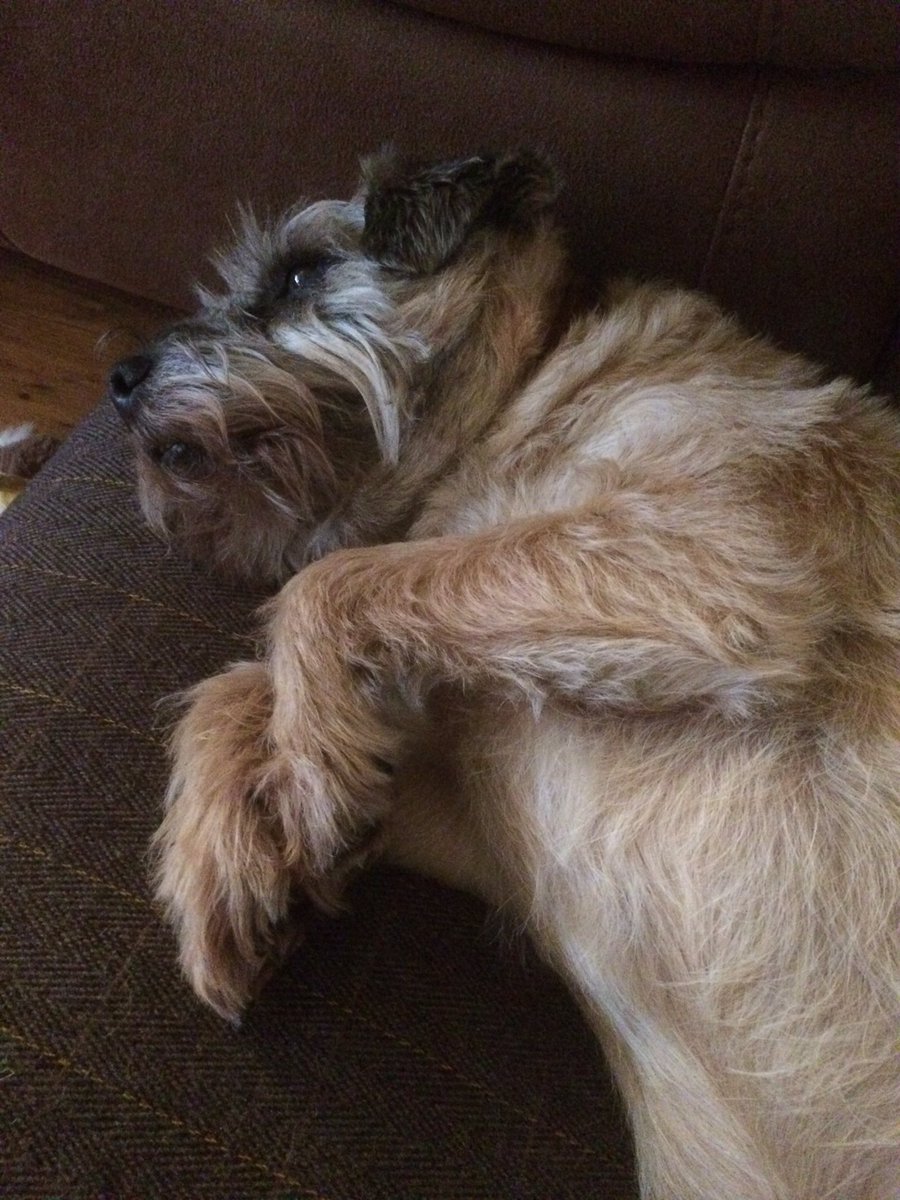 HenryBorderT's tweet image. What's not to love? I asks ya!