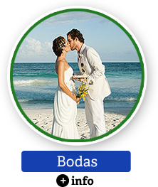 DescuBrasilMx's tweet photo. Brasil: muchos escenarios para la boda perfecta. https://t.co/bidA0j6Q3e #DescubreBrasil #BodasBrasil #DestinoBodas https://t.co/7KEpq2aQbG