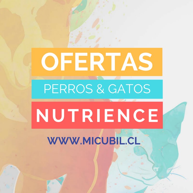 Tu #perro y tu #gato amarán Nutrience, y tu también porque todos están en oferta: bit.ly/Micubilcl ;)