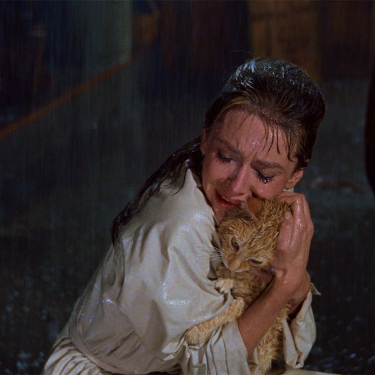JCMovingPicture's tweet photo. "I'm like cat here, a no-name slob. We belong to nobody, and nobody belongs to us. We don't even belong to each other." #BreakfastAtTiffanys https://t.co/GT8Hq7QijM