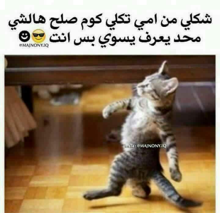 snmoajdk3's tweet photo. @LowiSahiNazal @YouTube https://t.co/oV7CYgK0se