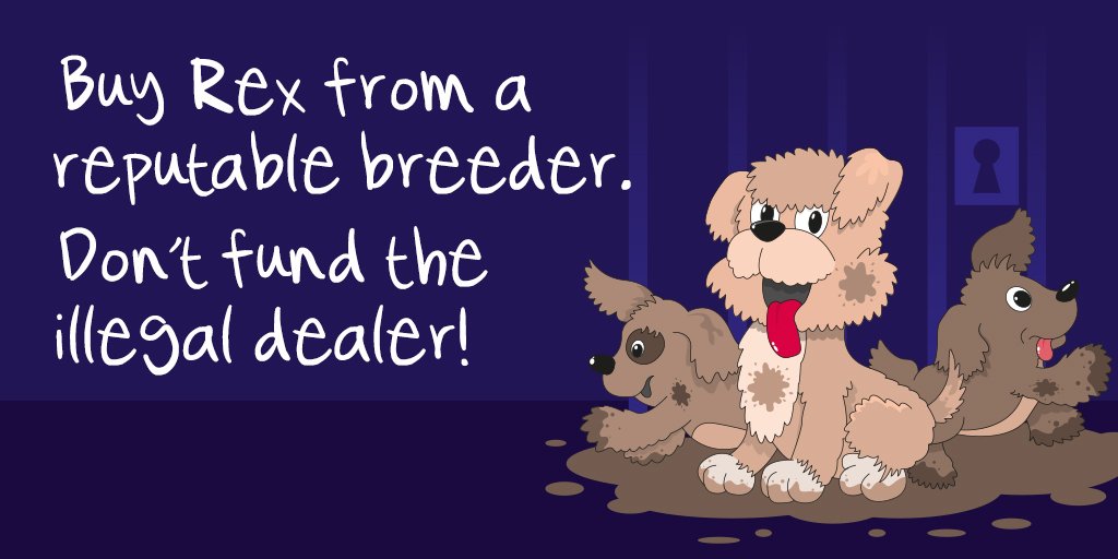 bhamts's tweet photo. #reputablebreeder buying a puppy for Christmas always buy from reliable & reputable breeder @KennedyJacqui @ehbham https://t.co/8Qdtqmzxbe