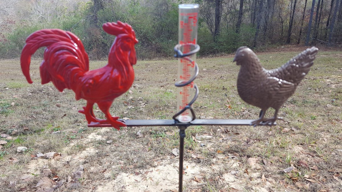 BottleTreeBob's tweet photo. Our new Herman the Red Rooster and Hilda the Hen Rain Gauge... https://t.co/tdlGlc930c