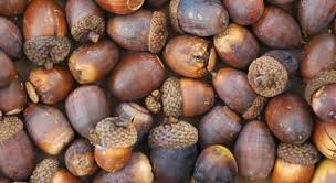 Pulse of the Planet tweet media