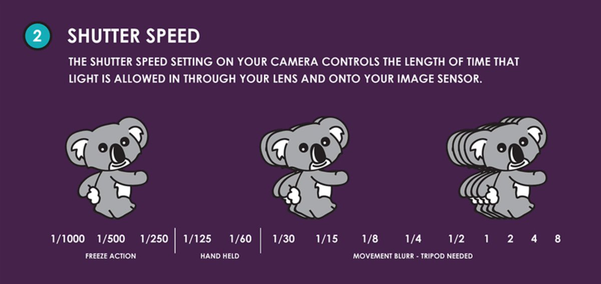 KU Account tweet media