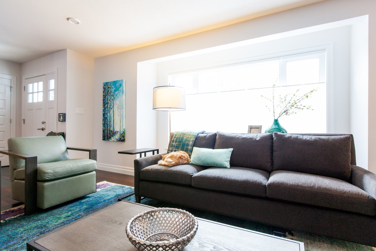 Kevin the cat's new living room.  For sure one of the bossiest clients we have had - but cute, so we let it slide...