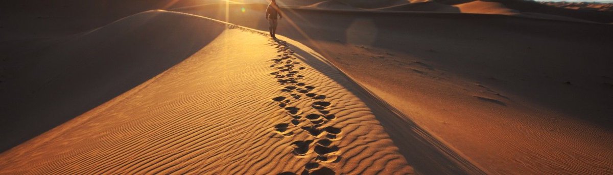Met BlauwPrint ga je actief aan de slag op basis van eigen inzichten en ervaringen: bit.ly/2hrFCs8