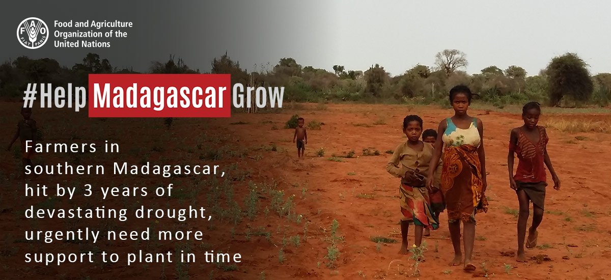 FAOemergencies's tweet photo. Farmers in southern #Madagascar, hit by 3 yrs of #drought urgently need support to plant in time #HelpMadagascarGrow https://t.co/WZzVpfVUzD https://t.co/8EOM5SkFo4