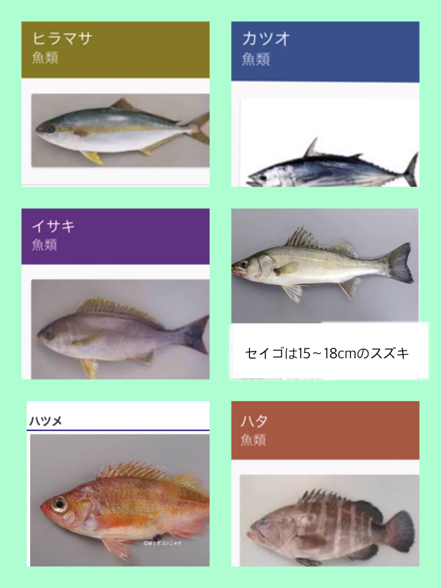 これはニヤリとせずにはいられないｗ逃げ恥、ヒラマサの子供が魚の名前で統一されるｗ