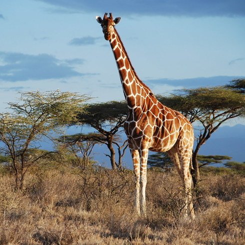 33 science facts we didn’t know at the start of 2016 bzfd.it/2hQHxH0