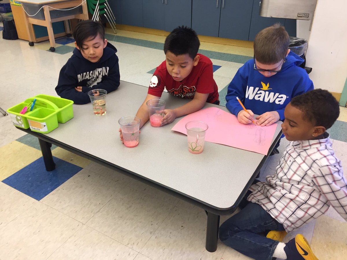 bubeckjg's tweet photo. What happens to candy canes in different liquids? @PLVBears #polarpride https://t.co/oeQE9nEDLZ