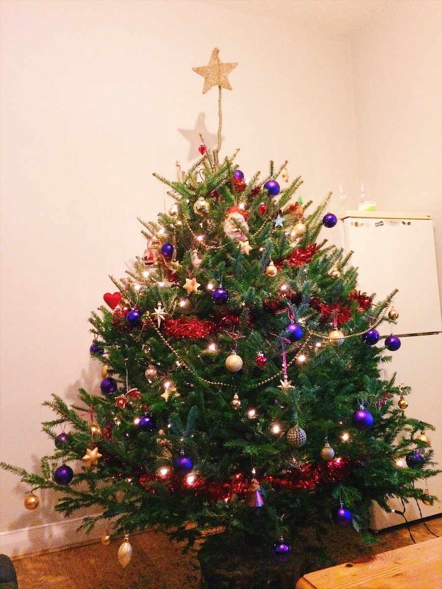 AlfHarris's tweet photo. Finally have the best Xmas tree up and decorated in Tooting! Thanks to @TootingPRSS and @sw17Premiertree for the great give away! https://t.co/vyUBEYpzVN