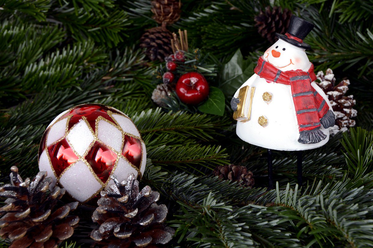 ShopscoutI's tweet photo. Partecipa all'estrazione per vincere un buono Amazon! Scopri come sul nostro blog: https://t.co/dr7st44ka1
#ShopScout #app #missione #regalo https://t.co/60hjYMYHeN