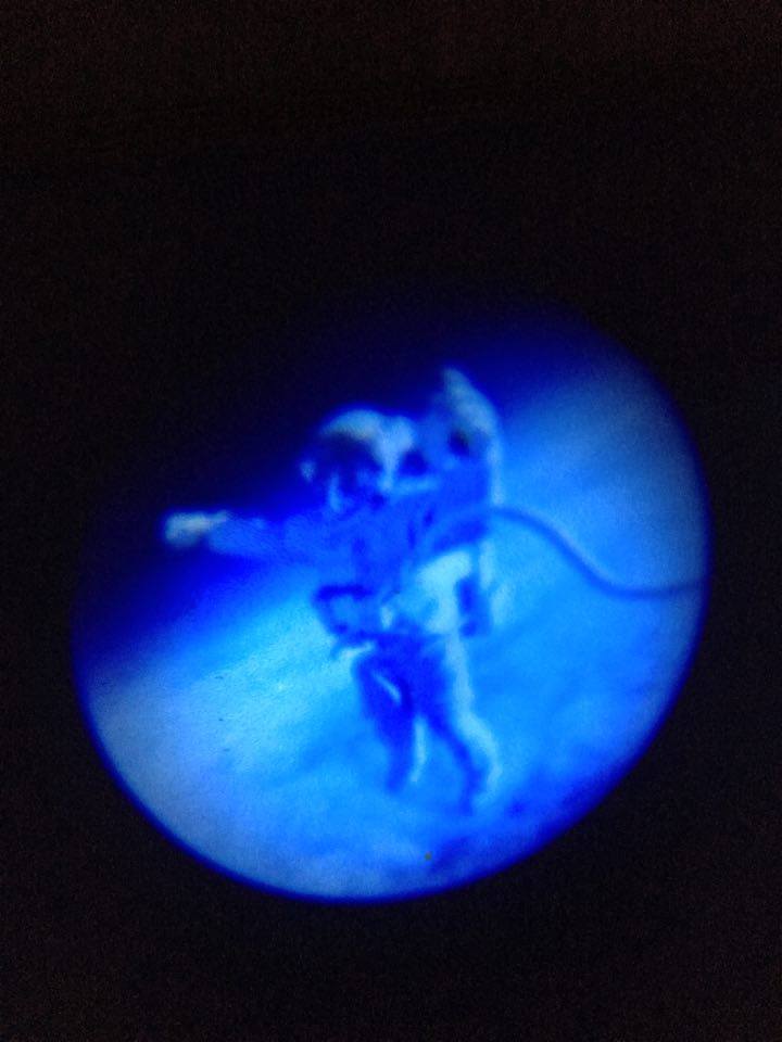 momtograndma's tweet image. Primary Science Shinning Stars Projector Giveaway from Learning Resources #LearningHandsOn #giveaway #Child #Science sueparks2003.blogspot.com/2016/12/best-o…