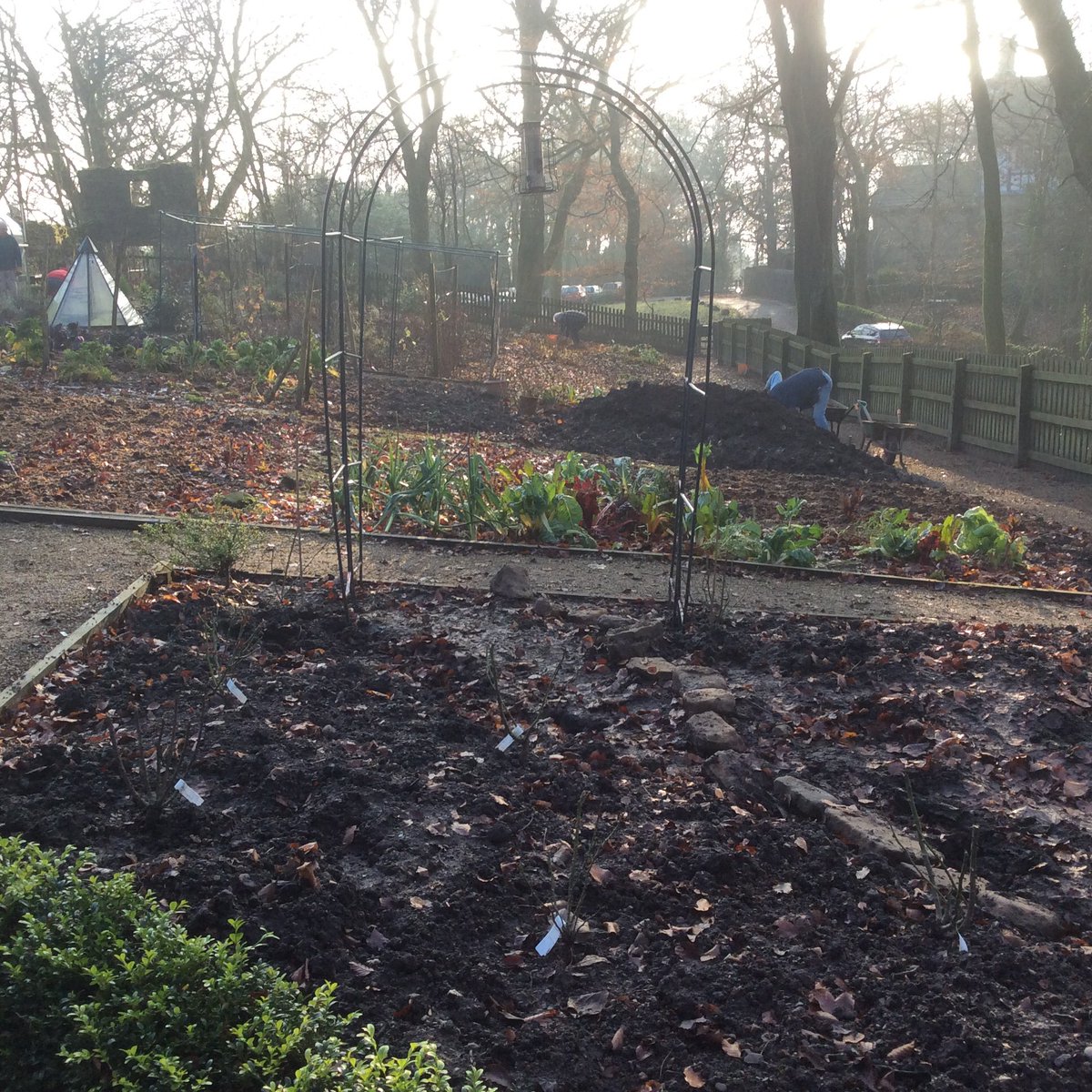 Turton TK Garden tweet media