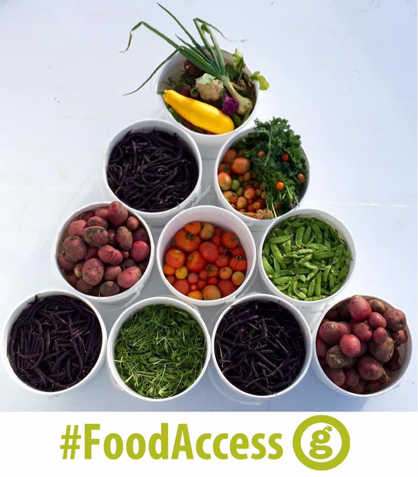 GrowCalgary's tweet photo. Now that #YYCCC has successfully tackled the #CycleTrack,, time for #FoodAccess to receive some TLC? #health #yyc @Mow2Grow #ableg #cdnpoli https://t.co/MombBEBbId