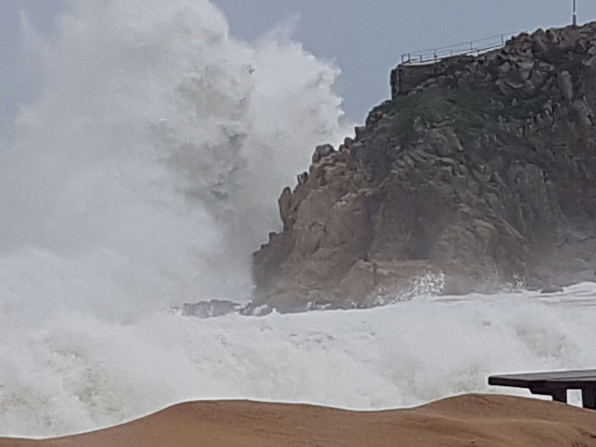 Dani Soto tweet media