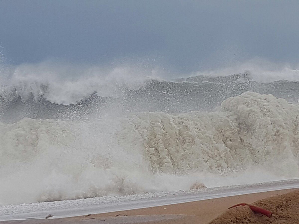 Dani Soto tweet media