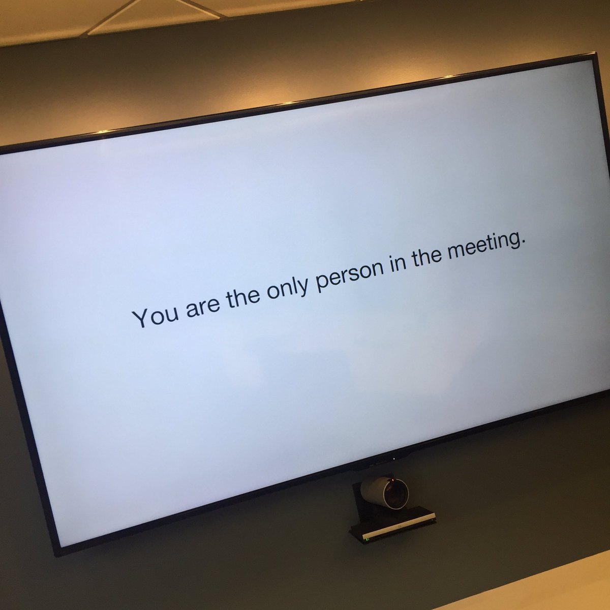 I think our video conference system is mocking me.