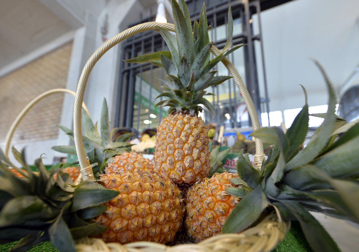 Slate's tweet photo. Finally, there will be a pineapple just for women: https://t.co/7PMfOxSrL6 https://t.co/YZYuLpuzK2