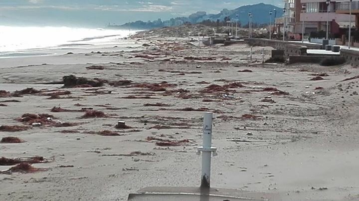 AjuntamentSueca's tweet photo. Així han despertat hui les nostres platges després del #TemporalLlevant. En perdre humitat treballarem perquè retorne al seu estat. https://t.co/ZCkSpVAljk