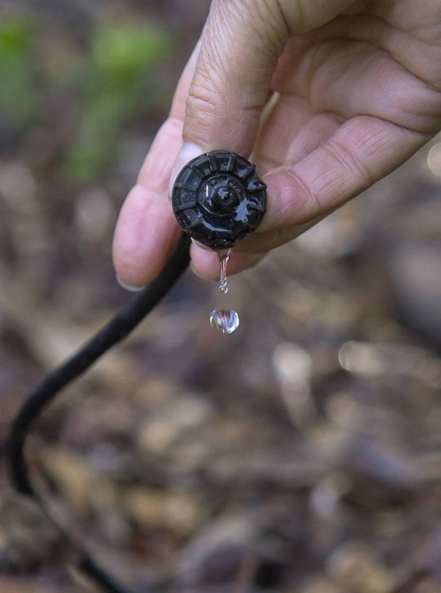 Water Foundation tweet media