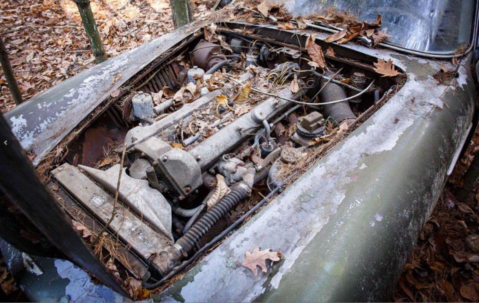 PrestigeDiesels's tweet photo. Aston Martin DB4 hidden in forest for 50 years set to fetch £350,000 

https://t.co/6wVGPKVzQo #AstonMartin https://t.co/b3E5EFSWTR
