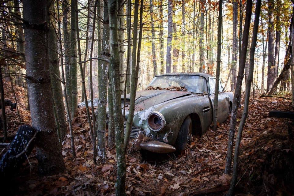 PrestigeDiesels's tweet photo. Aston Martin DB4 hidden in forest for 50 years set to fetch £350,000 

https://t.co/6wVGPKVzQo #AstonMartin https://t.co/b3E5EFSWTR