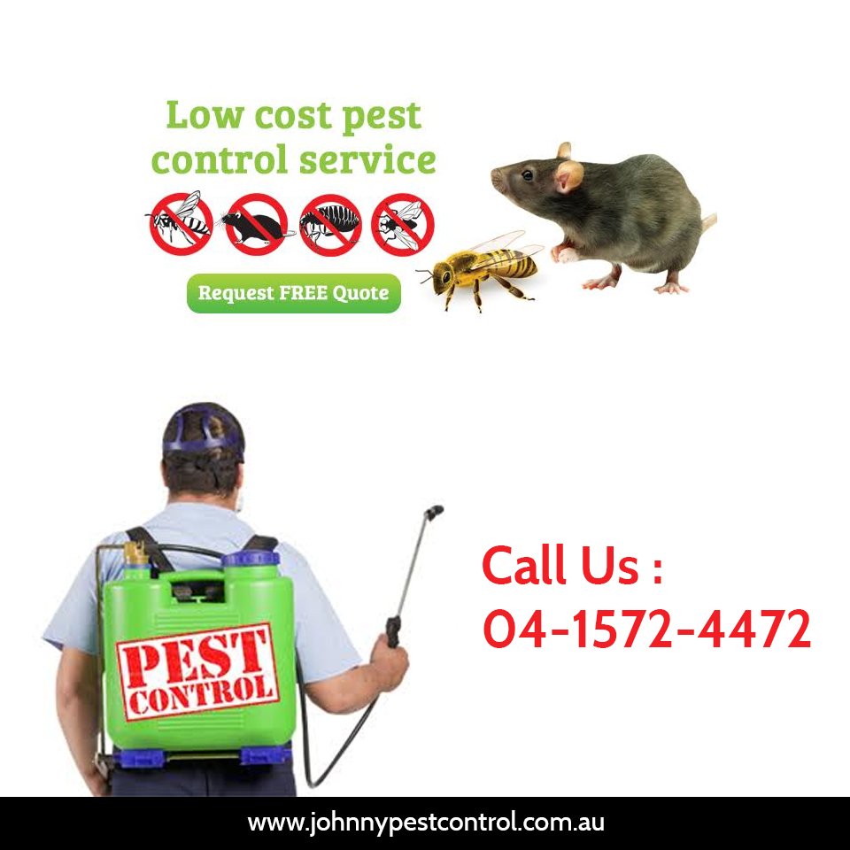 Johnny Pest Control Johnny Control Twitter