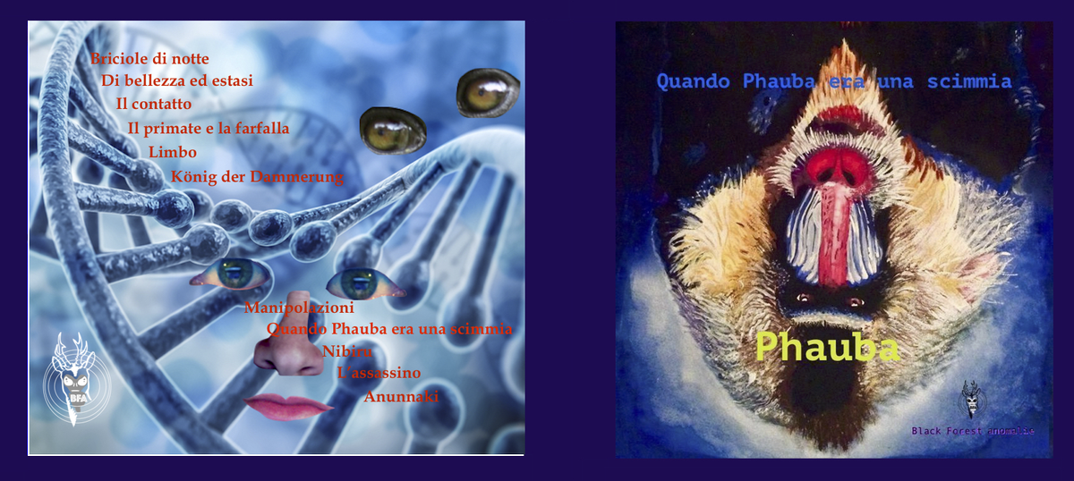 Phauba tweet picture