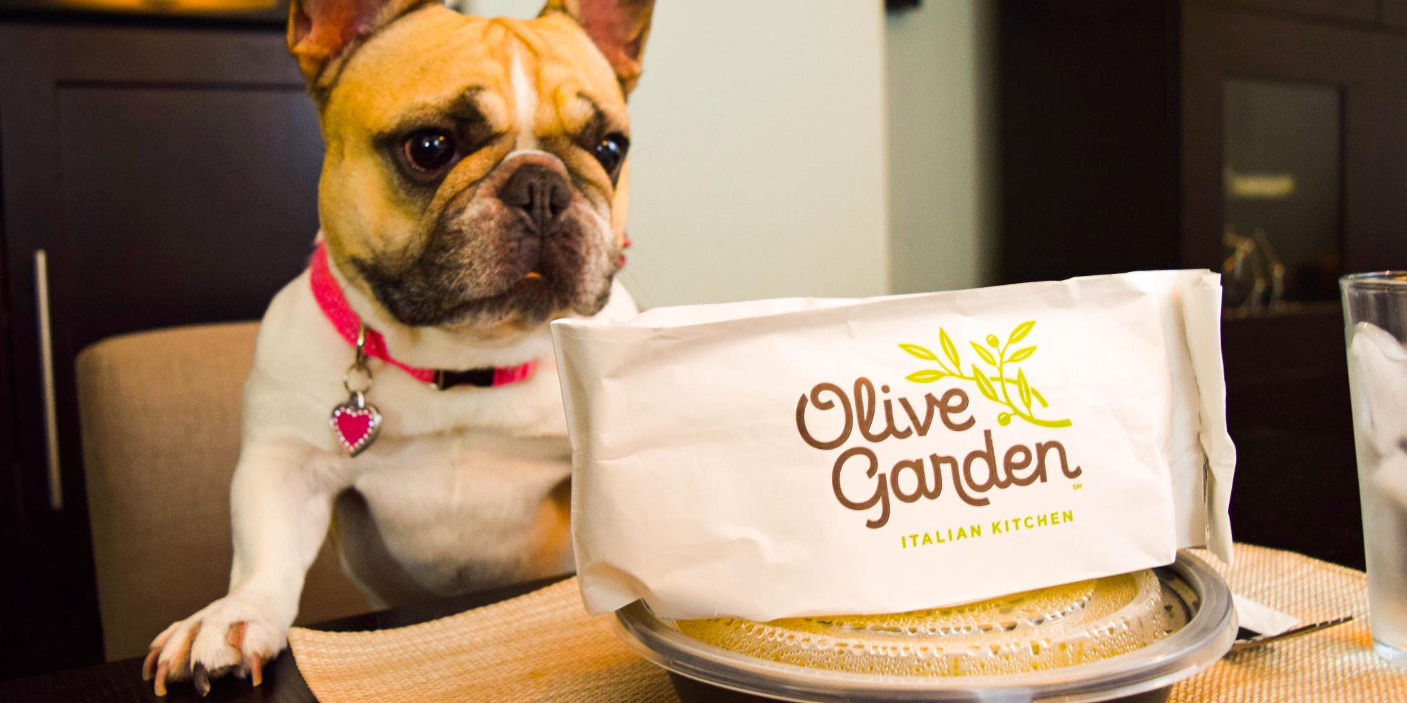 Are Dogs Allowed In Olive Garden Ny