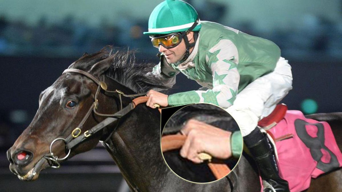 Самуэльсон жокей. Человек управляет лошадью. Полосатые скачки. Женщина жокей. Барьерные скачки.