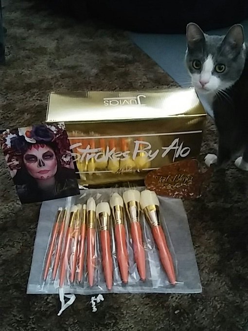 No one understands how excited i am to get these brushes by @AloSaid_  I would've literally sucked a