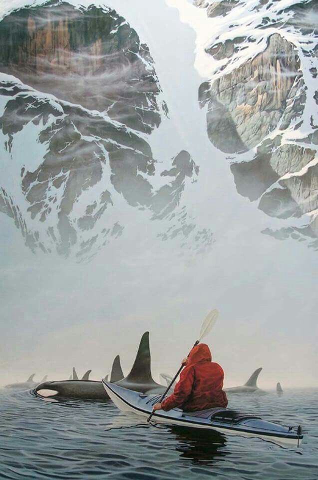 adventurful's tweet photo. I really should take up kayaking 🤔😍 https://t.co/Hzon5RlBYx