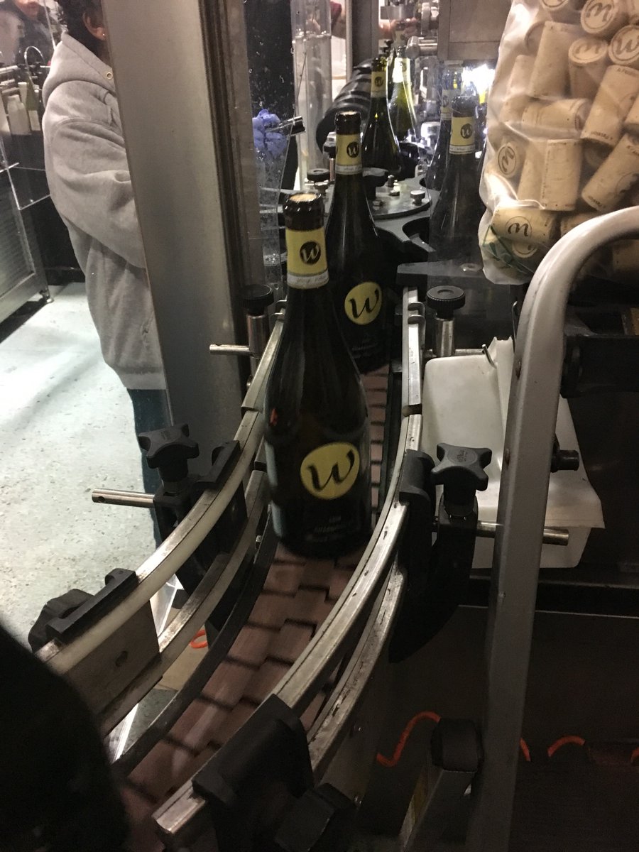 Our kind of white Christmas!