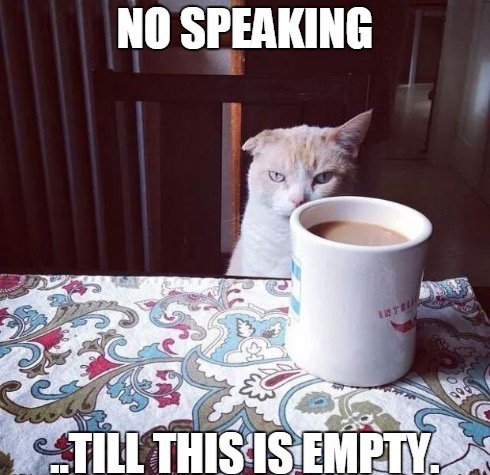 LondonLaur's tweet photo. This is me without my morning  @DunkinDonuts coffee #ddjoy @InfluensterVox https://t.co/vt3Nky4djW