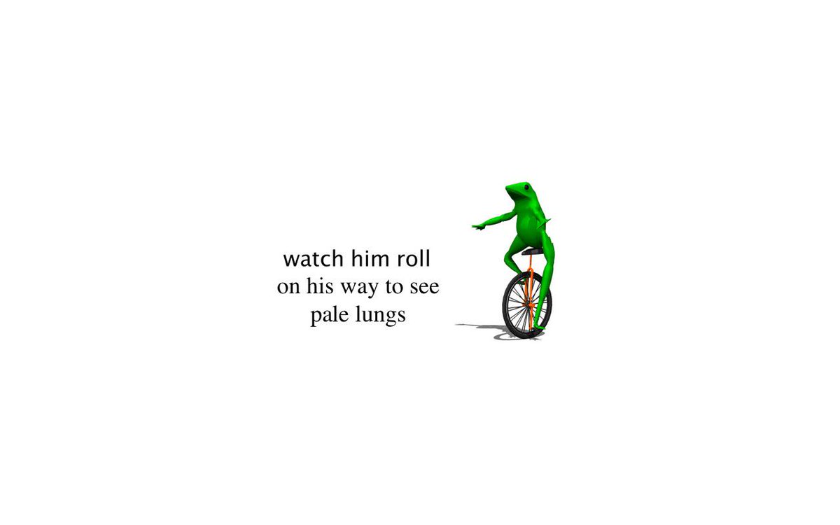 14storieshigh's tweet photo. @palelungsband @NoDiceOfficial https://t.co/5vGH45NPi5