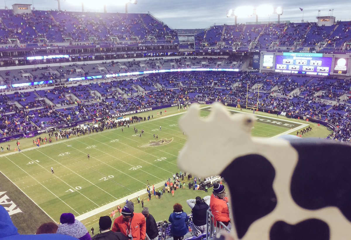 megnrain's tweet photo. Patty says:
"I don't give a flock, go for the 2pt conversion"
#MakinMooves #FlyEaglesFly https://t.co/ETZcaXu5Np