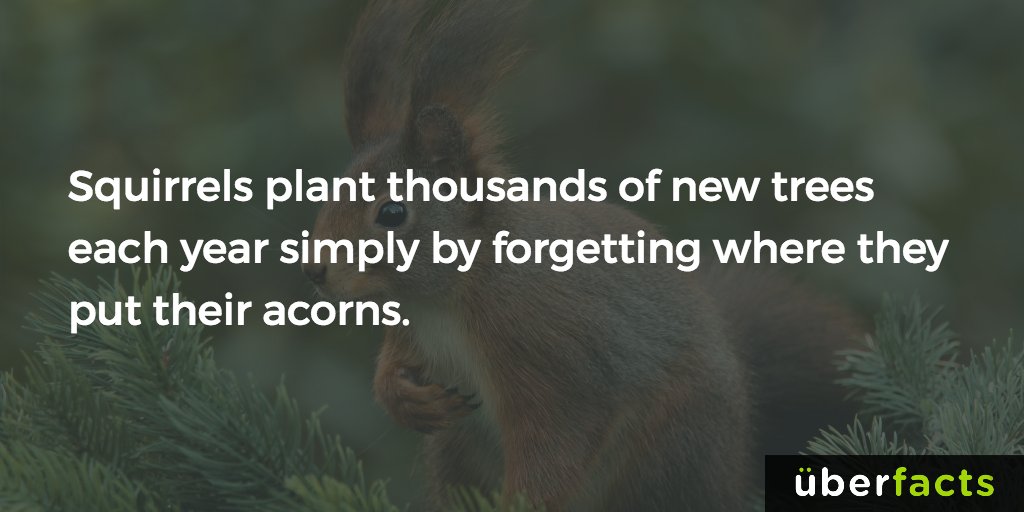 UberFacts's tweet photo. https://t.co/cjV8BdnzLg https://t.co/yH4FKkPlA8
