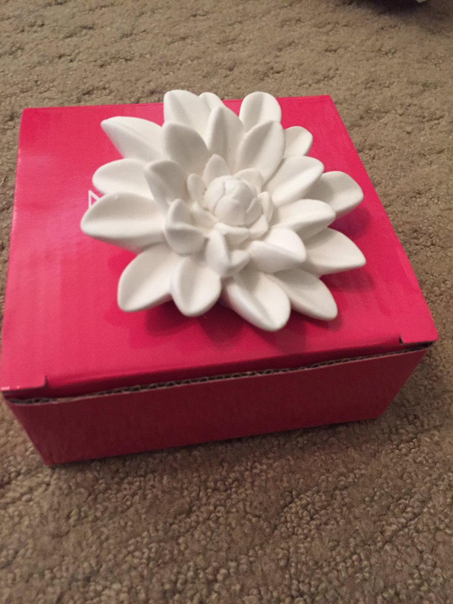 GPeletz's tweet photo. @Nordstrom received this as a gift with purchase and have no idea what it is, please explain https://t.co/F6GfGoHoqr