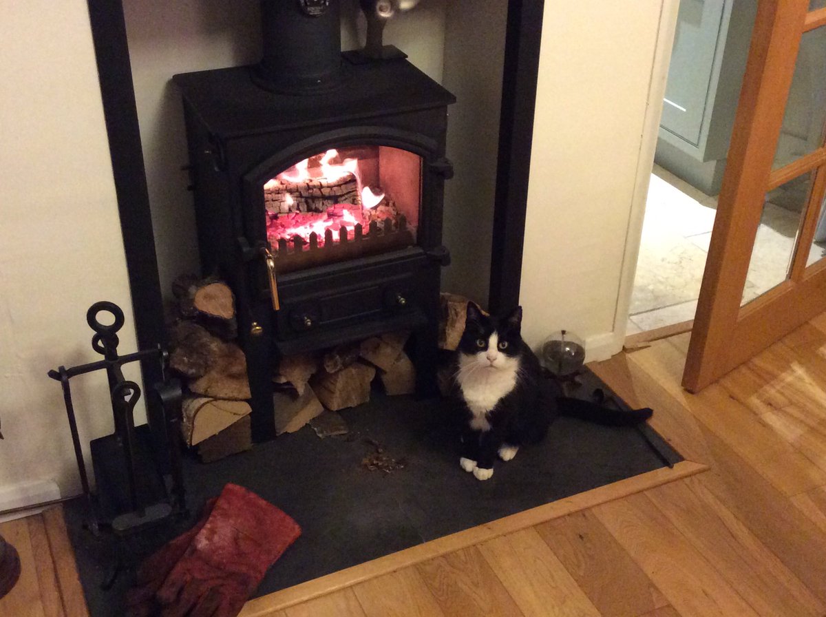 Sitting by the fire 😺😺😺