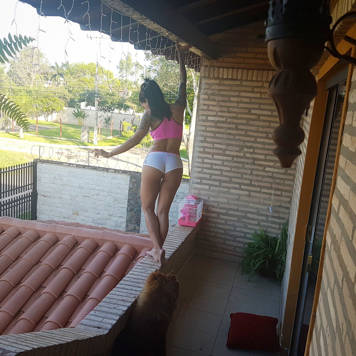 gloriajjara's tweet photo. 🏡💕✌😆 https://t.co/HLzmncxVVm