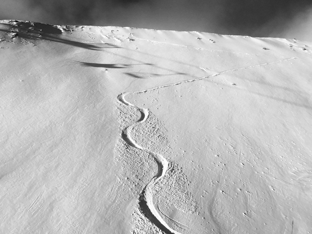 apieceofglass's tweet photo. This is what #28cm of #freshpow looks like on #Whistler. #powday #whistlerblackcomb #liveforpow #skithepow https://t.co/s4bJXUope2