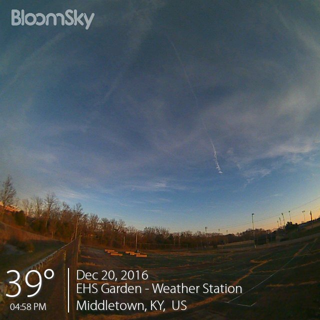 EasternsGarden's tweet photo. Such rich colors. Middletown # Now:39° # Middletown, KY,  US https://t.co/c4ARj9WHN0