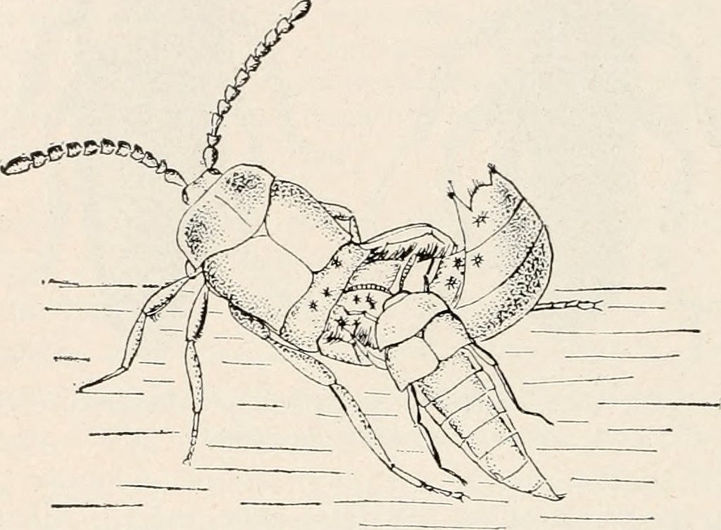 chilkathaiku's tweet photo. I de-excited
the thermolability
unreligiously.
You diversified
the corpora lutea
inimically.
#chemosh ❁ https://t.co/cVg4nf36Wi