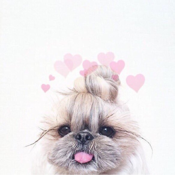 happybeanss's tweet photo. @soIocabeIIo 💓 https://t.co/8jR2Vo9PjI