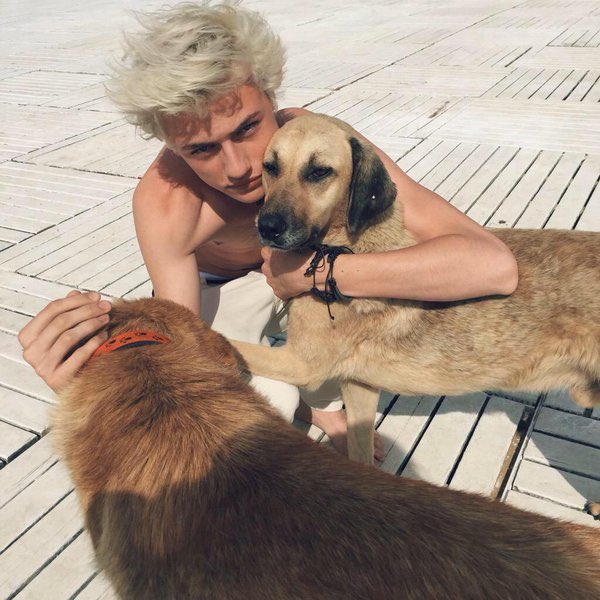happybeanss's tweet photo. @joyfullysivan doggo for you!!!!💓💓 https://t.co/UvY4qqdIM4